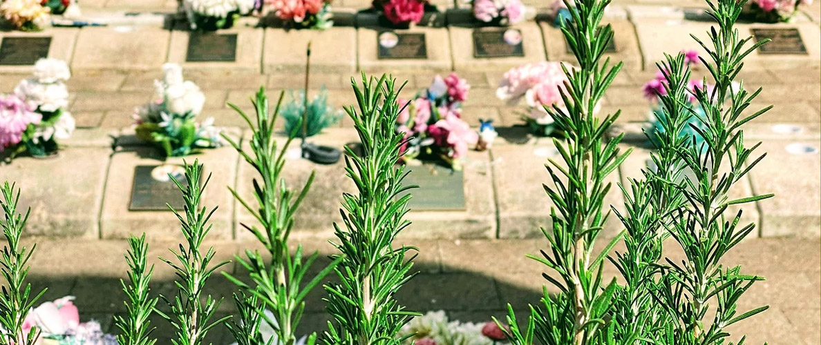 Old Noarlunga Cemetery